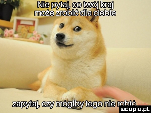 Obrazek