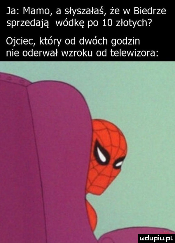 ja mamo a słyszałaś że w biedrze sprzedają wódkę po    złotych ojciec który od dwóch godzin nie oderwał wzroku od telewizora   ludu iu. l