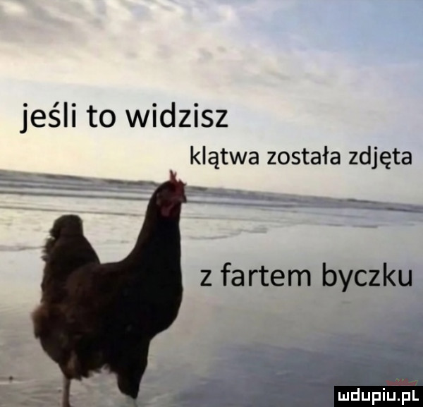 Obrazek