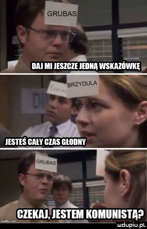 grubas ica ibl iesigie ieiiiia wskaiqwkę brzydula r  a   insi eś glin gaas gllllliiv      l i rzekaigestem kuhiinista