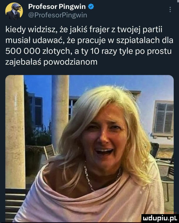 profesor pingwin o profesorpingwin kiedy widzisz że jakiś frajer z twojej partii musiał udawać że pracuje w szpiatalach dla         złotych a ty    razy tyle po prestu zajebałaś powodzianom