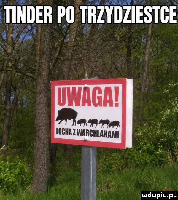 tindeﬂ pl tﬁzyﬂziestbe fa am lllbiillwiilgiilakami