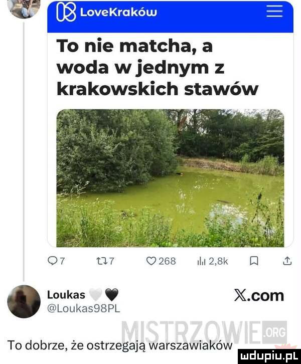 Obrazek