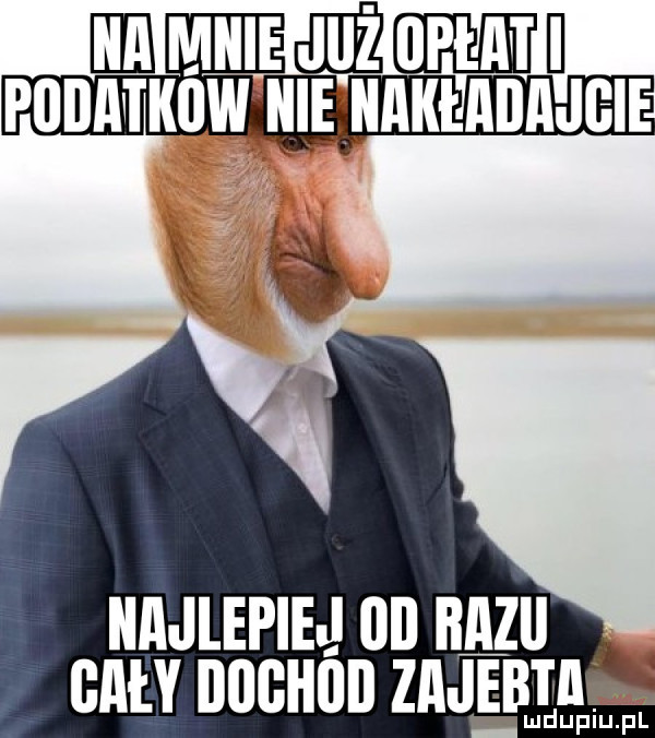 Obrazek