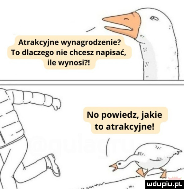 atrakcyjne wynagrodzenie to dlaczego nie chcesz napasać ile wynosi no powiedz jakie to atrakcyjne w