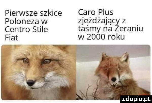 pienste szkice caro plus poloneza w zjeżdżającz centro stile taśmy na eraniu fiat w      roku