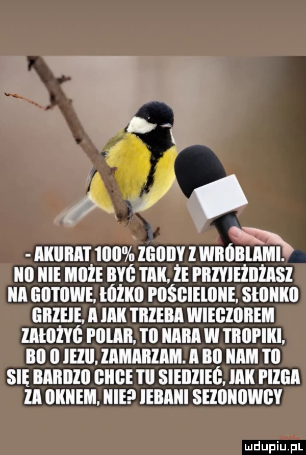 ai iiiiat    igoiiy l wiiiibliimi. abakankami iii icie może byś tak. że piiiyieiijziisi a gminne eóżku posgieioiie sediiiiii iiiiieie a iiiii trzeba wiegziibem lałiiżyó i lllail ibl nara w tiiiipiiii bl i iezii. lamaillam. a na nam t  sie barci gaige i ij sieiiiieg iiiii i llliii iii iiiiiiem. nie iebiiiii seiiiiiiiwgy