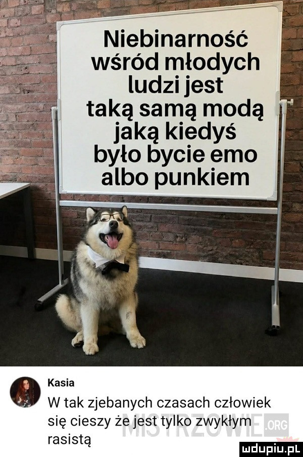 Obrazek