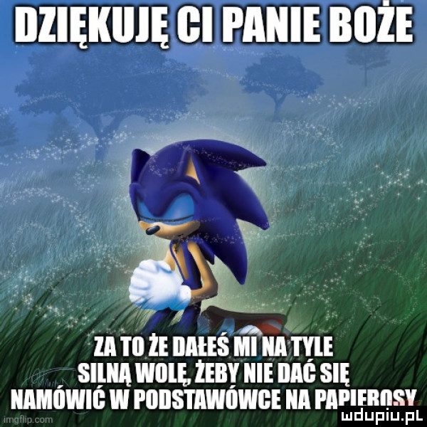 Obrazek