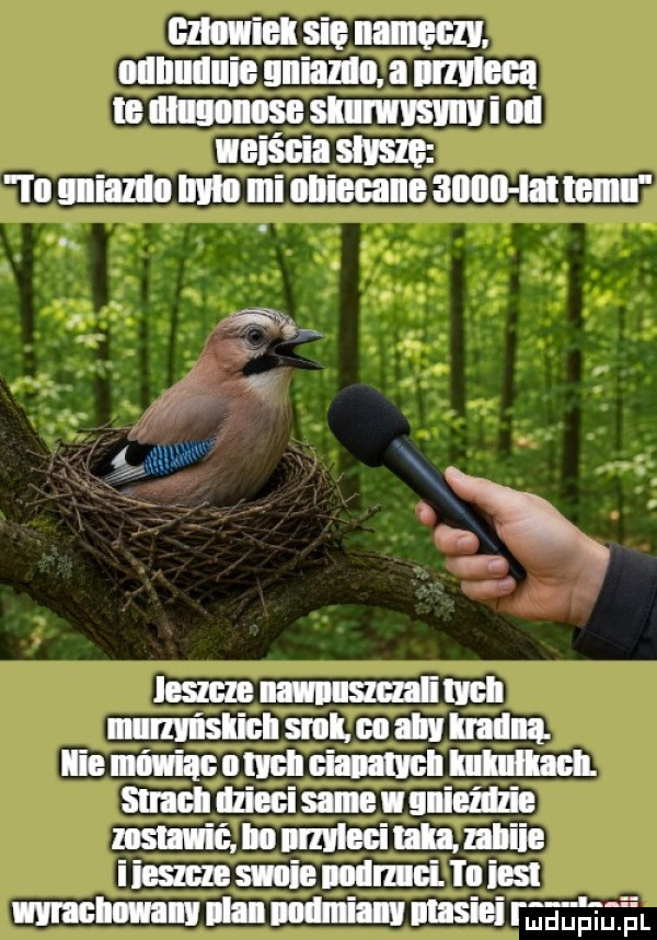 Obrazek