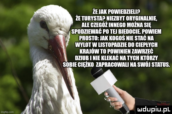 Obrazek