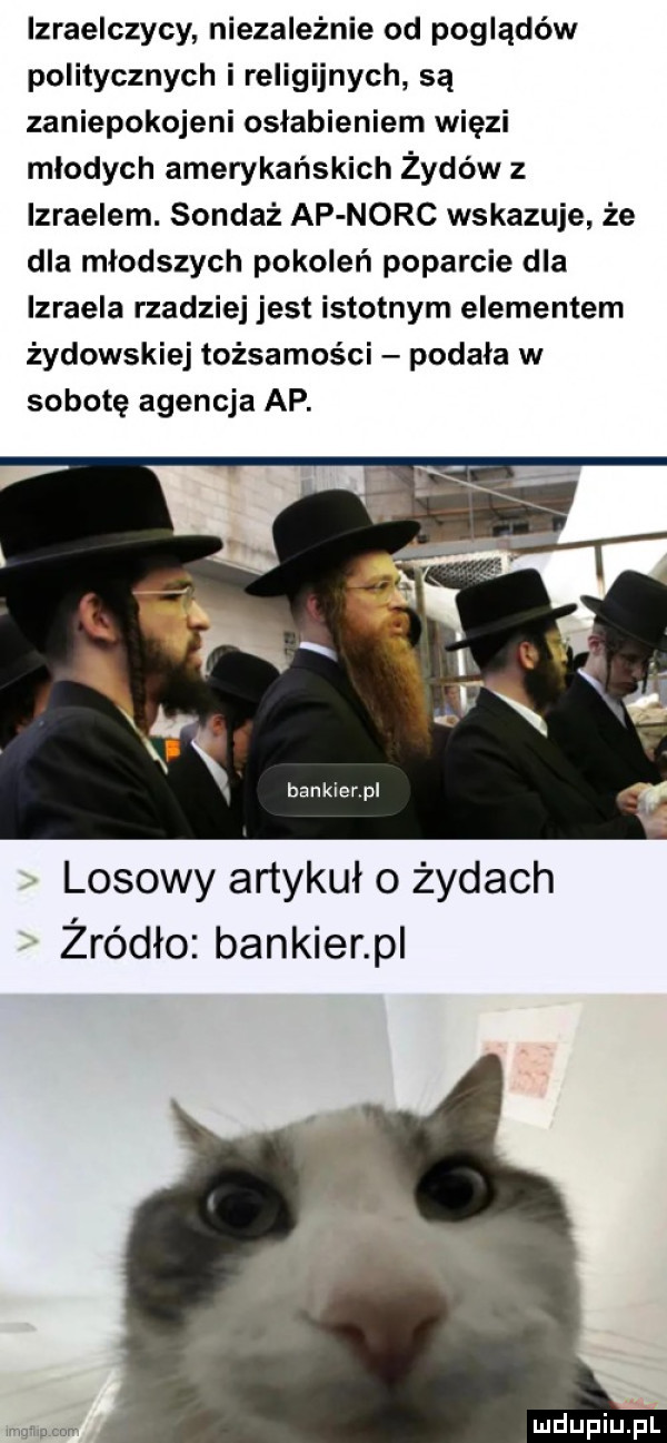izraelczycy niezależnie od poglądów politycznych i religijnych są zaniepokojeni osłabieniem więzi mlodych amerykańskich żydów z izraelem. sondaż ap norc wskazuje że dla młodszych pokoleń poparcie dla izraela rzadziej jest istotnym elementem żydowskiej tożsamości podała w sobotę agencja ap. losowy artykuł o żydach żródło bankier pl immpcnr