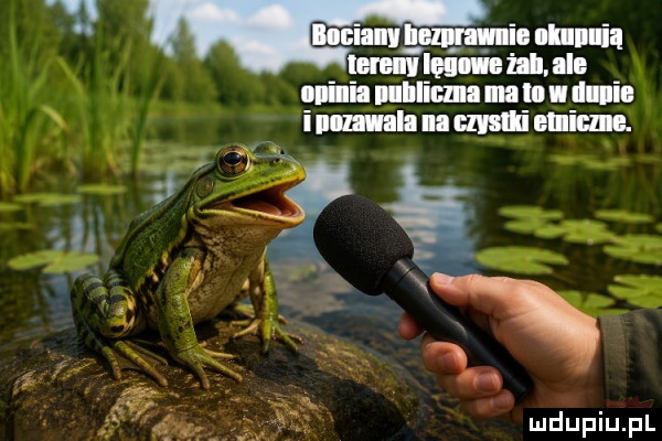 Obrazek