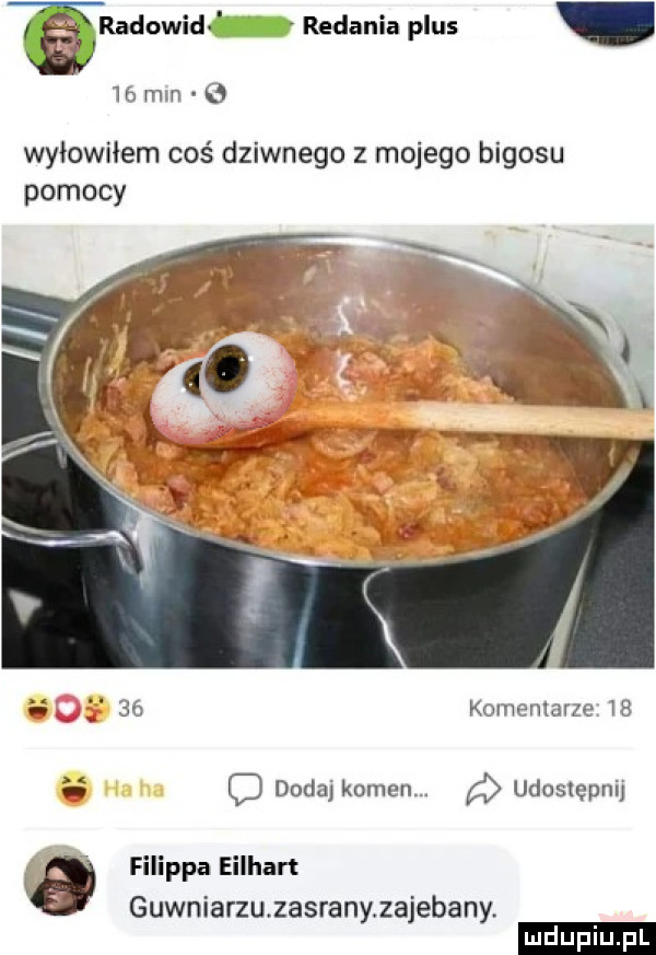 ﬁbdowid relania plus    mm wyłowiłem coś dziwnego z mojego bigosu pomocy ii    komentarze    h o dodaj kamen. udostępnij filipka eilhart guwniarzuzasrany zajebany. ludupiu