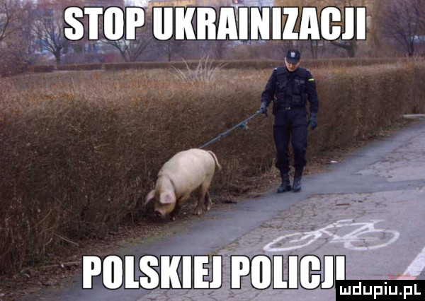Obrazek