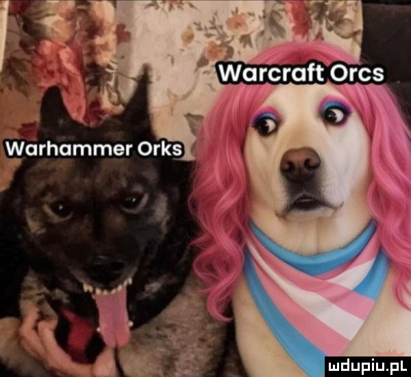 Obrazek