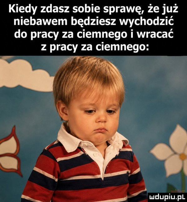 Obrazek