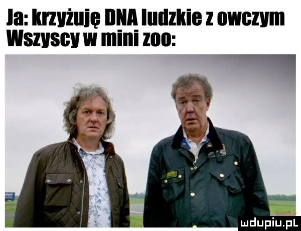 Obrazek