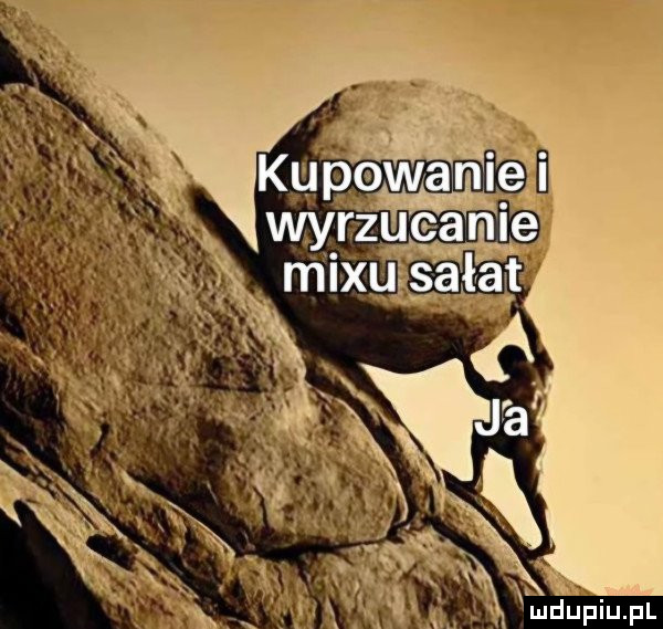 Obrazek