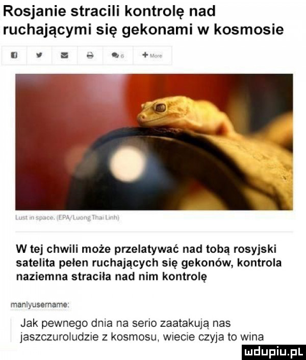 rosjanie stracili kontrolę nad ruchajacymi się gekonami w kosmosie w tej chwili może przelatywać nad tobą rosyjski satelita pelen ruchających się gekonów kontrola naziemna stracila nad nim kontrolę manlyusername jak pewnego dnia na samo zaatakqą nas jaszczuroludzie z kosmosu wiecie czyja to wma