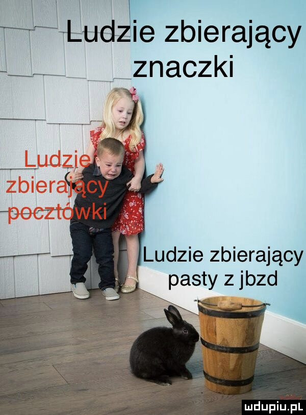 Obrazek