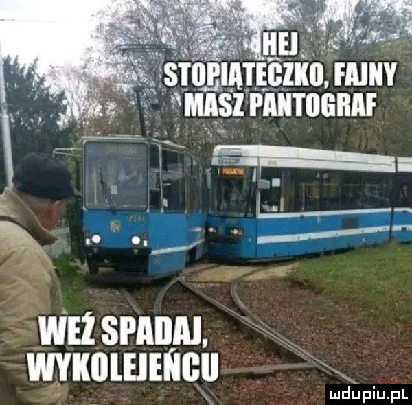 Obrazek