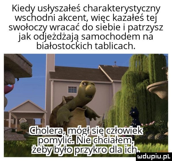 Obrazek