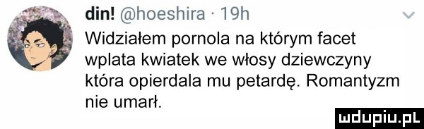 wy din hoeshira   h widziałem pornola na którym facet wplata kwiatek we włosy dziewczyny które opierdala mu petardę. romantyzm nie umarł
