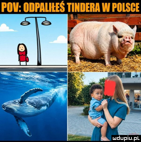 hw odpaqhś tlllll lill w pillsc
