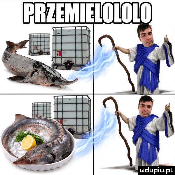 Obrazek