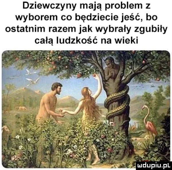 dziewczyny mają problem z wyborem co będziecie jeść bo ostatnim razem jak wybrały zgubiły całą ludzkość na wieki
