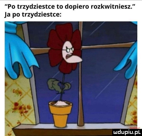 Obrazek