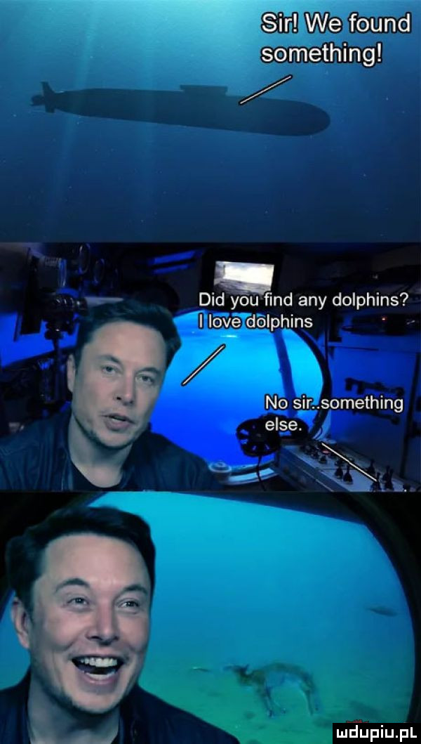 something ddd y-u ﬁnd any dolphins i live dolphins no sir something elce. mfﬁpiupl