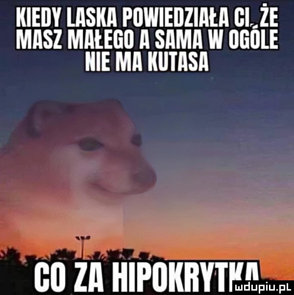 Obrazek