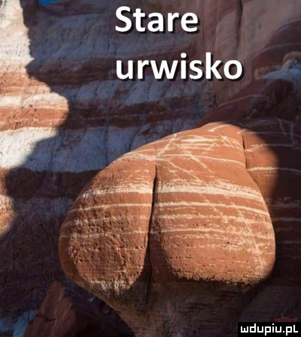 Obrazek
