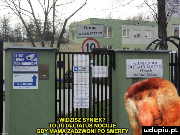 Obrazek