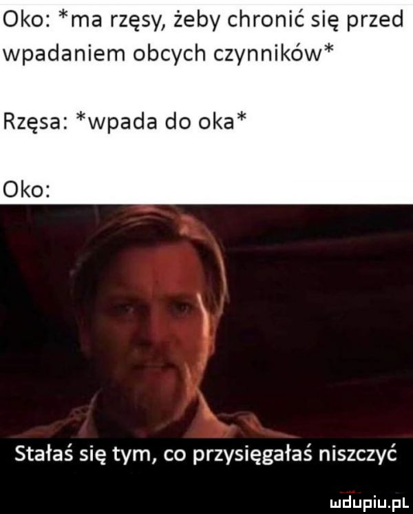 oko ma rzęsy żeby chronić się przed wpadaniem obcych czynników rzęsa wpada do oka oko stałaś się tym co przysięgałaś niszczyć