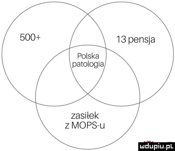 polska patologia zasiłek z mops-u