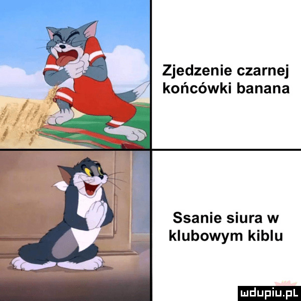 Obrazek