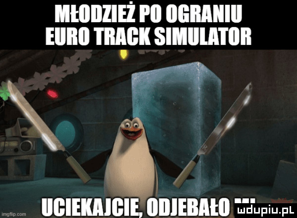 Obrazek