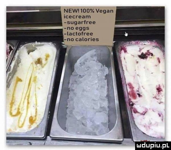 naw     vegan icecream sugarfree no eggs la tofree no calories