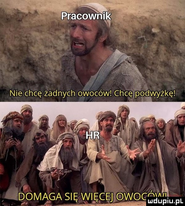 v r if.  x qowgąęę wag owocmaaw
