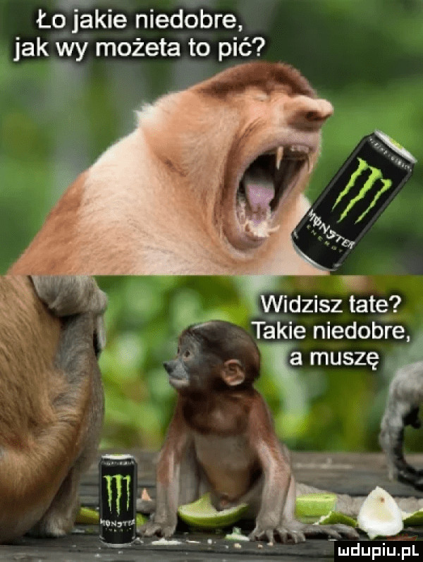 Obrazek