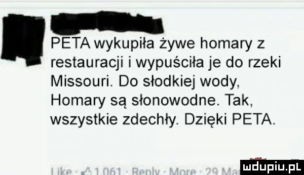 peta wykupiła żywe homary z restauracji i wypuściła je do rzeki missouri. do słodkiej wody homary są słonowodne. tak wszystkie zdechły. dzięki peta