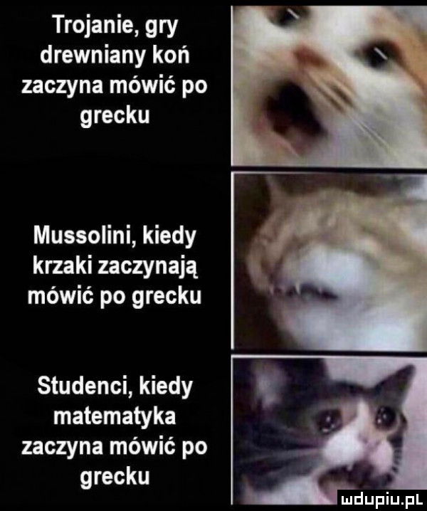 trojanie gry drewniany koń zaczyna mówić po grecku mussolini kiedy krzaki zaczynają mówić po grecku studenci kiedy matematyka zaczyna mówić po grecku