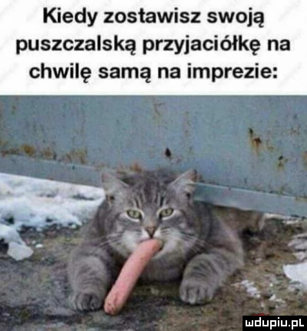 kiedy zostawisz swoją puszczalską przyjaciółkę na chwilę samą na imprezie
