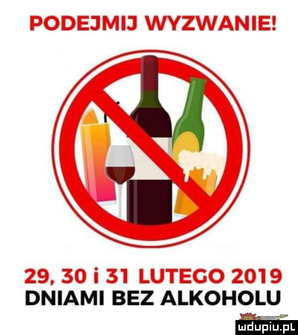 i dniamii bez alkoholu lu plu pl