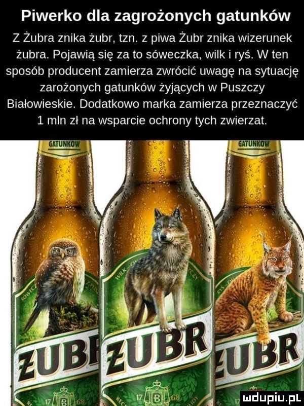 piweńko dla zagrożonych gatunków z żubra znika żubr. tan. z piwa żubr znika wizerunek żubra pojawią się zeto sóweczka wilk i ryś. w ten sposób producent zamierza zwrócić uwagę na sytuację zarażonych gatunków żyjących w puszczy białowieskie. dodatkowo marka zamierza przeznaczyć   mln zi na wsparcie ochrony tych zwierzat. ltv