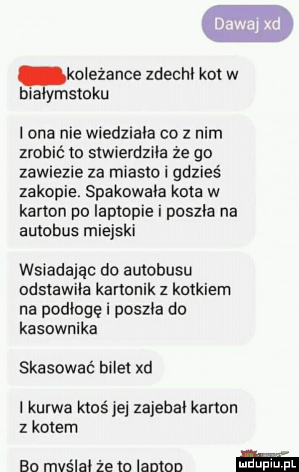 koleżance zdechł kot w białymstoku i ona nie wiedziała co z nim zrobić to stwierdziła że go zawiezie za miasto i gdzieś zakopie. spakowała kota w karton po laptopie i poszła na autobus miejski wsiadając do autobusu odstawiła kartonik z kotkiem na podłogę i poszła do kasownika skasować bilet xd i kurwa ktoś jej zajebał kanon z kotem bo myślał że to laptop