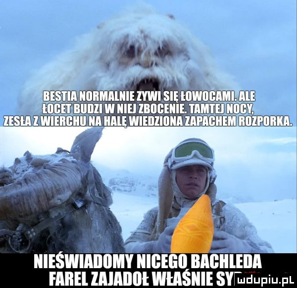 je div mﬂmm a all wieiiliﬂlia iapigiiem iłllll lllllm. nieswiaeśmv mien alumina ennelllllnllﬂlwlasnlesyﬁudupiu pl